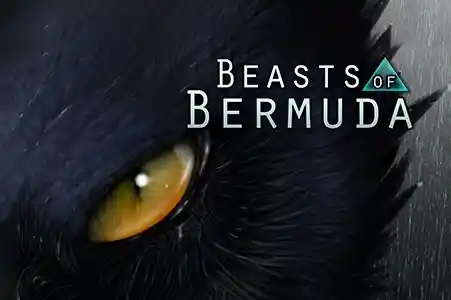 Beasts of Bermuda game server hosting